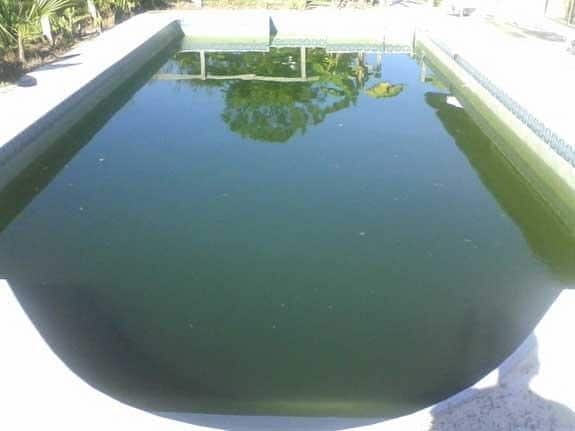 acid wash green pool before
